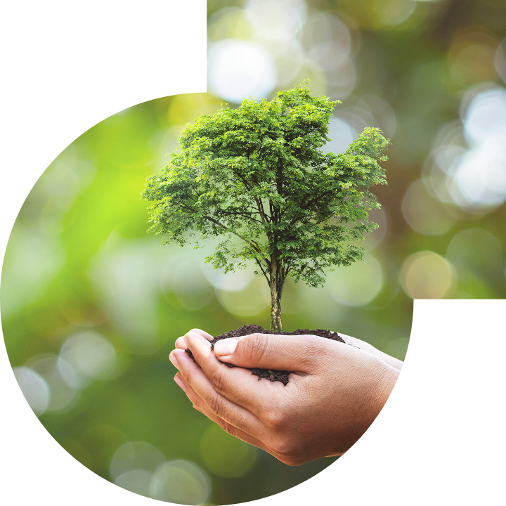 关怀人类、文化、环境与社会